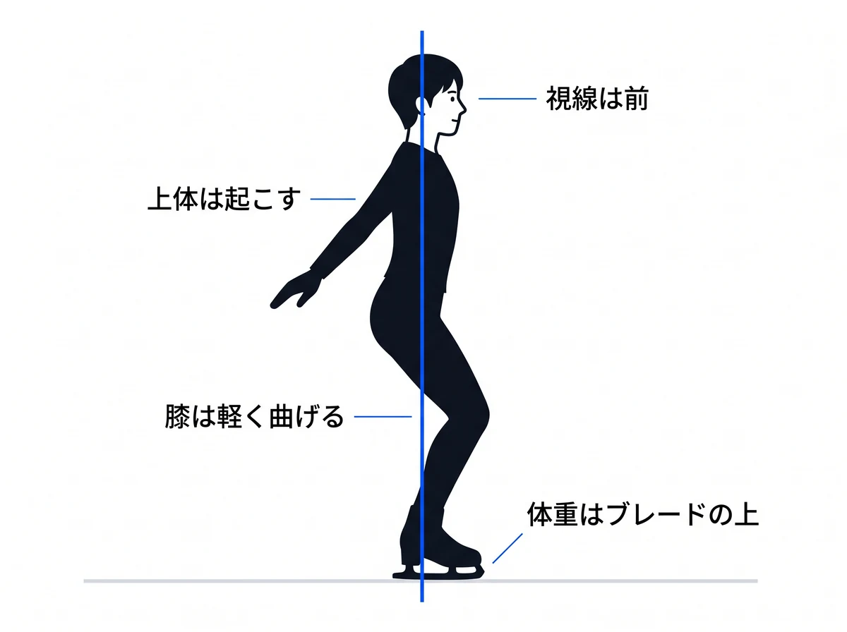 横から見た基本姿勢。膝は前へ曲げ、上体は起こしたまま。頭からブレードまでが一本の線に乗る
