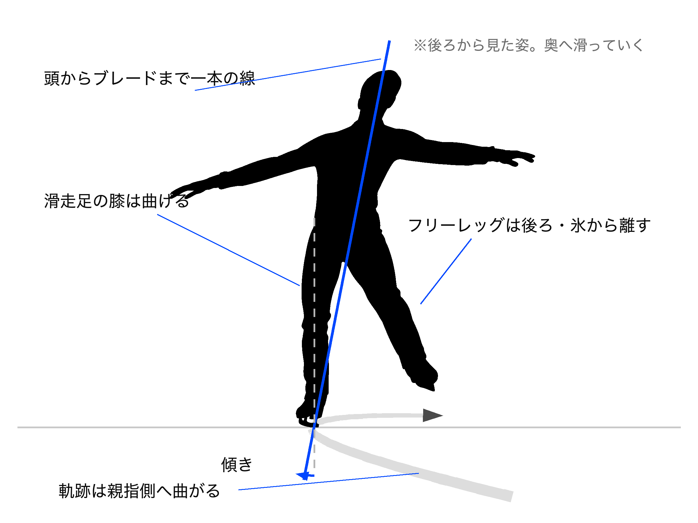 後ろから見たフォアインサイドエッジ(左足)。軌跡は親指側へ曲がり、体は一本の線のままカーブの内側へ傾く。フリーレッグは後ろ、氷から離す