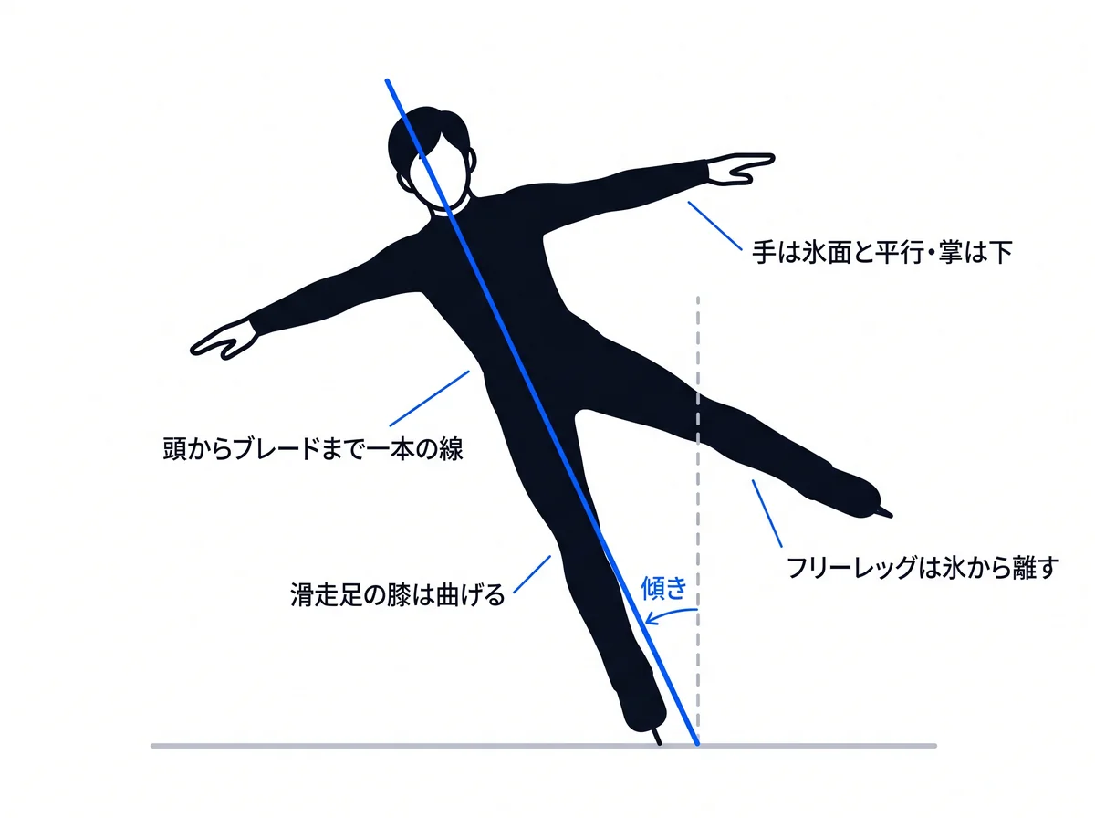 フォアアウトサイドエッジの姿勢。頭からブレードまでを一本の線にして、線ごと円の中心へ傾く